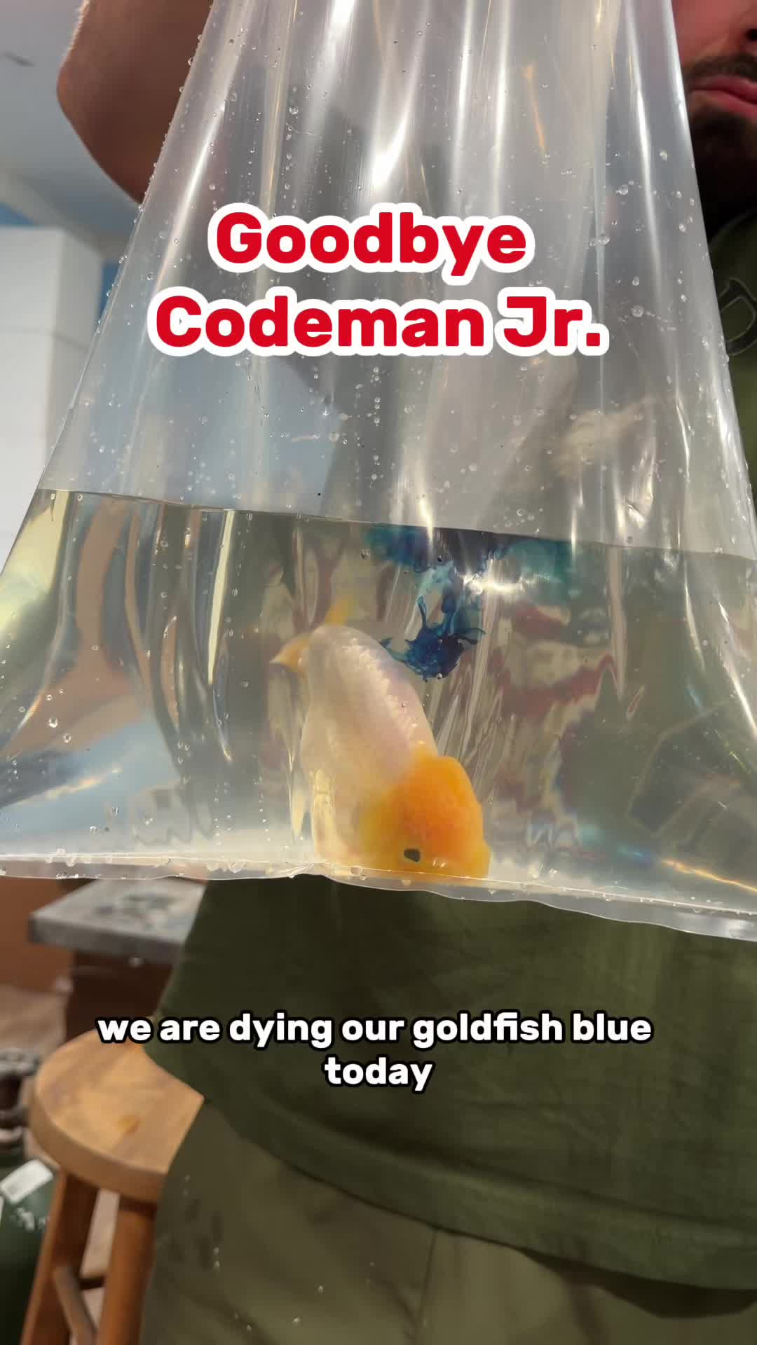 @The Goldfish Guy