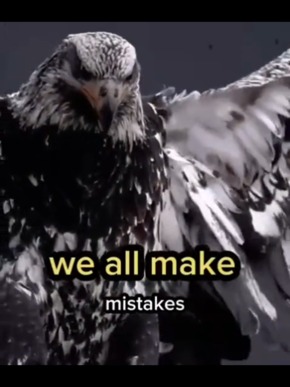 @Birddaddy🦜🦉🦅