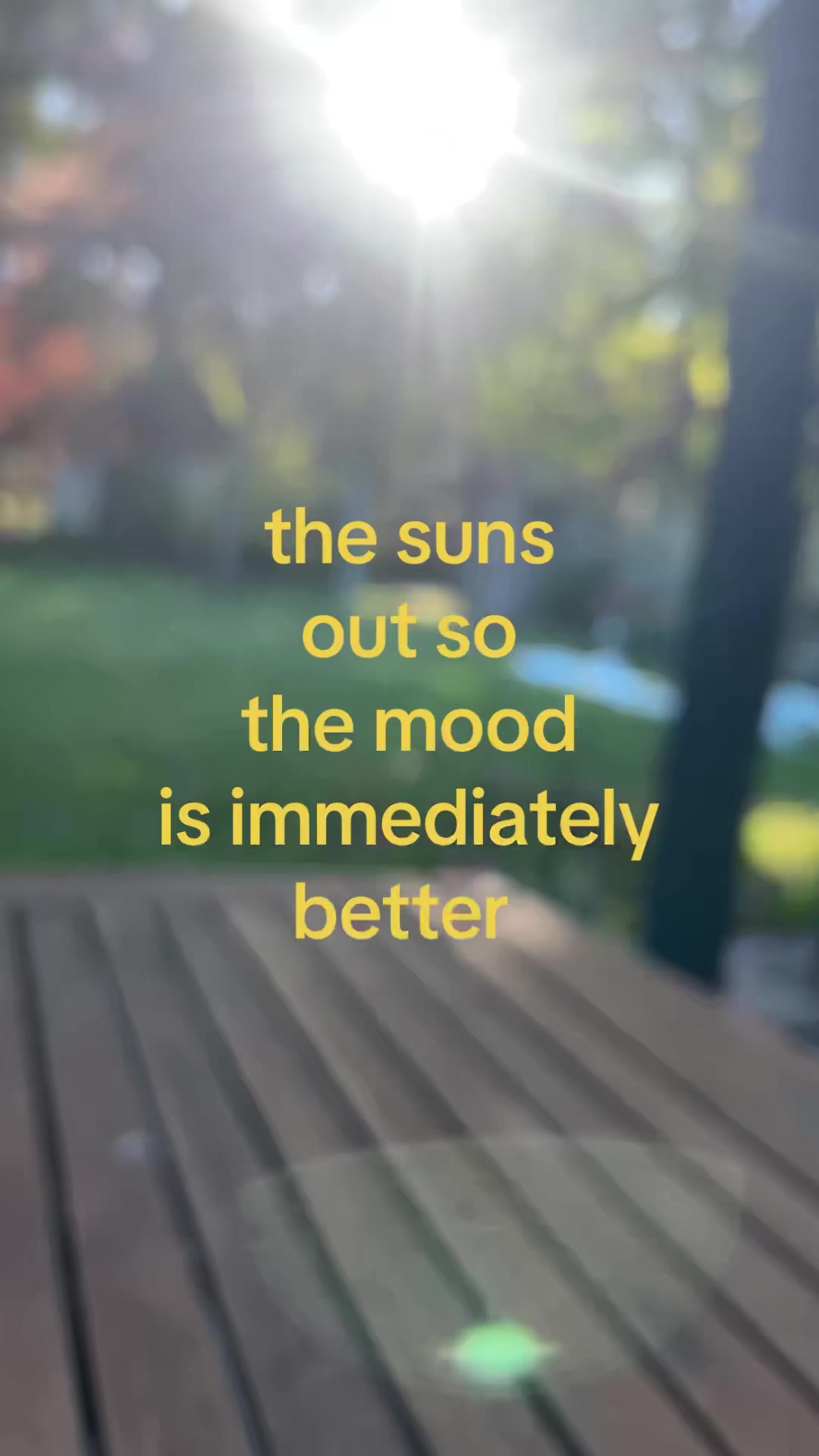 @paula🦥