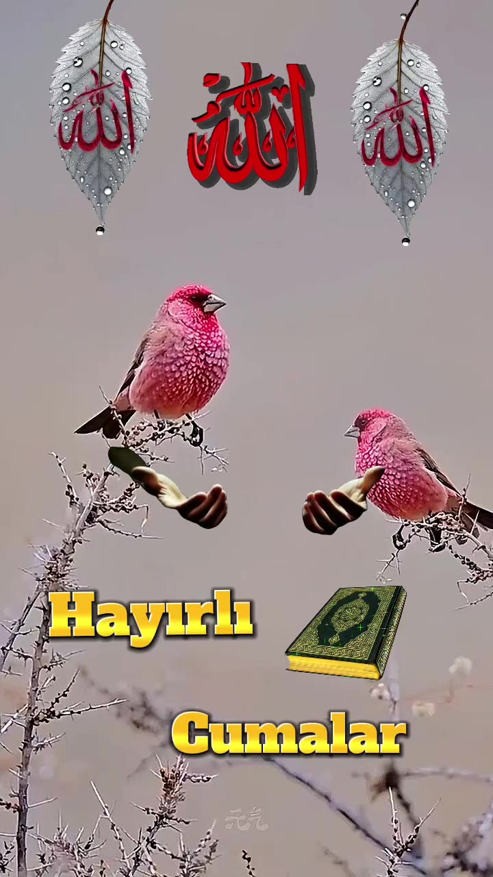 @꧁★✯͜͡ ᴇʟɪ̇ғ✯͜͡★꧂
