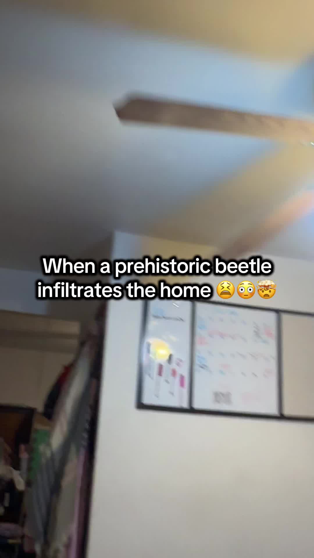 @THERETROMOM❌