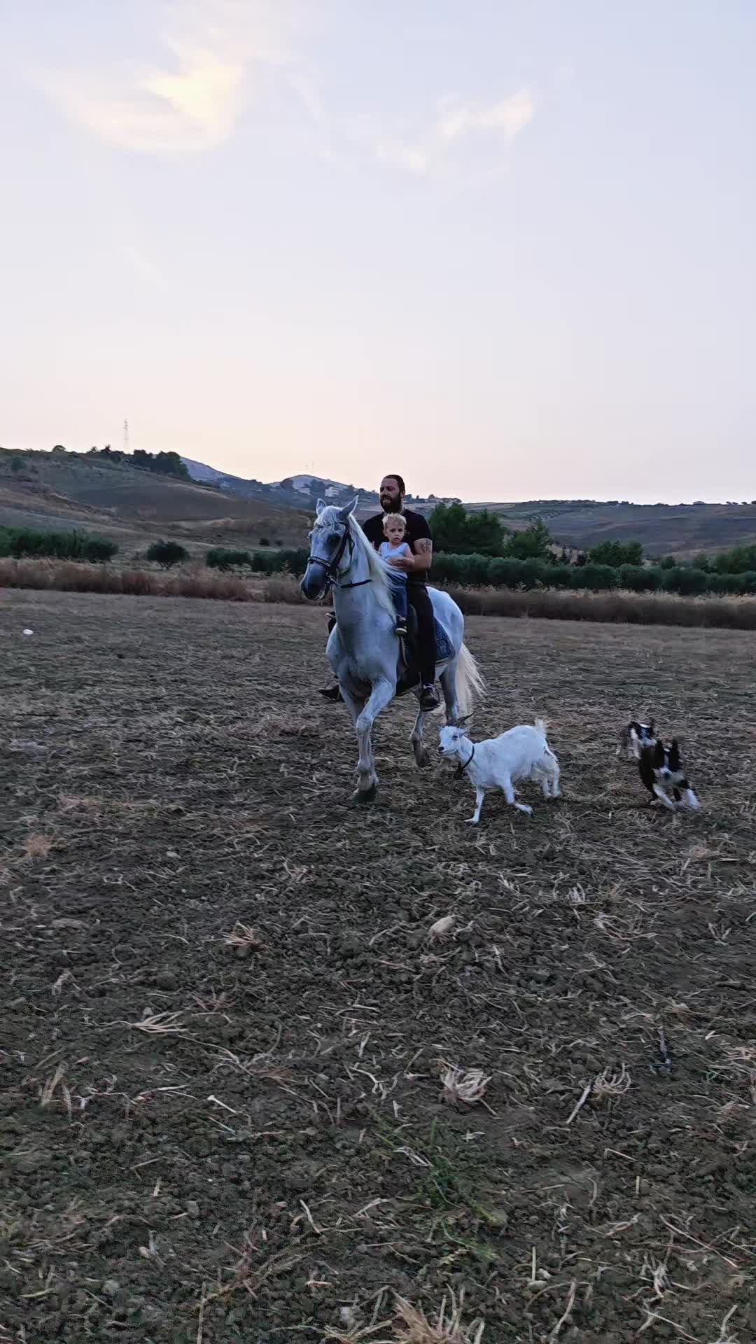 @pietrocanino