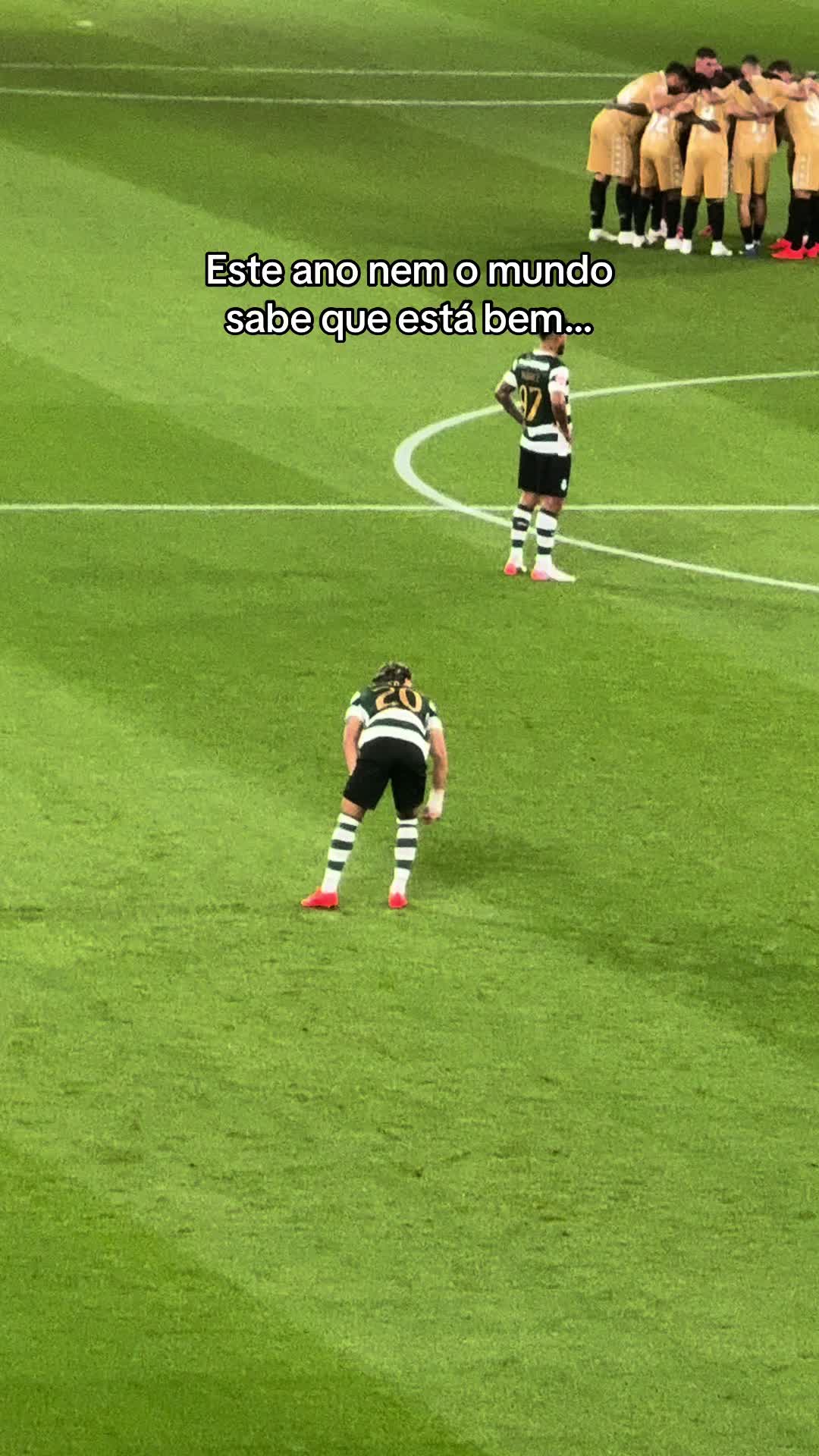 @tiago camarão🦐