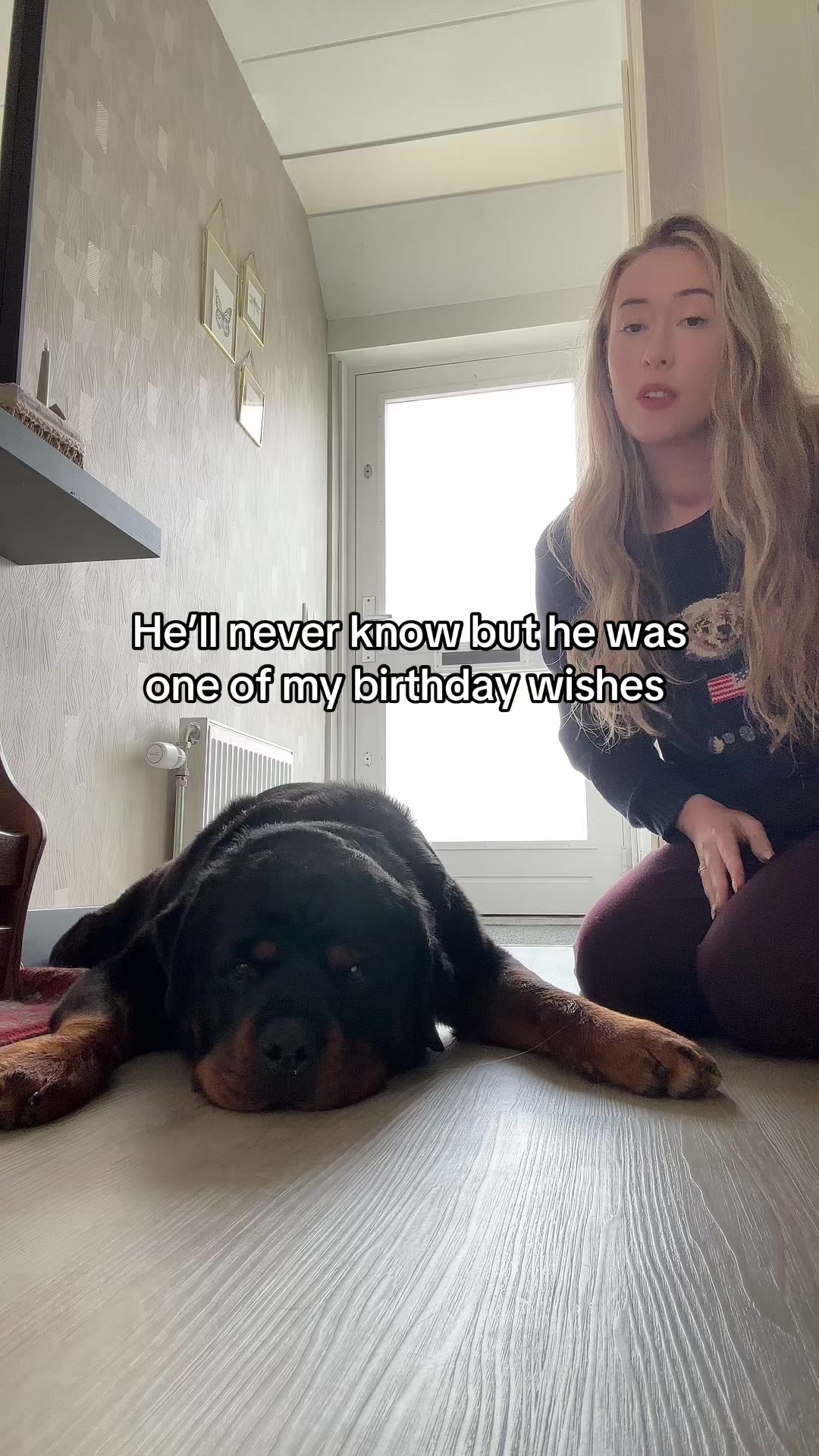 @Dyce de rottweiler
