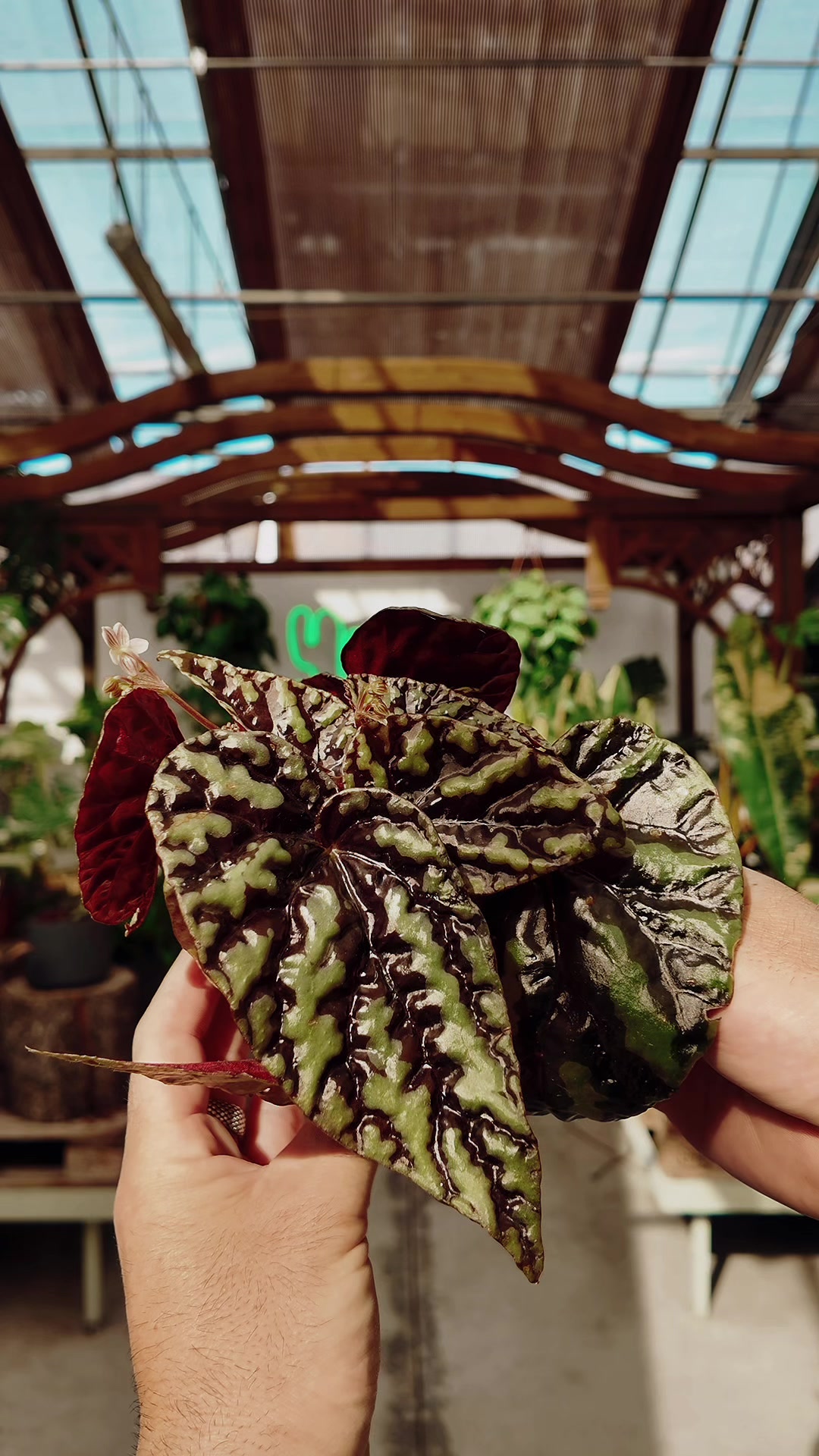 @Garden Center Brioli