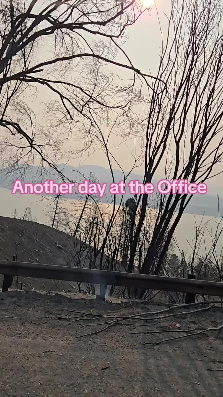 @mac7980