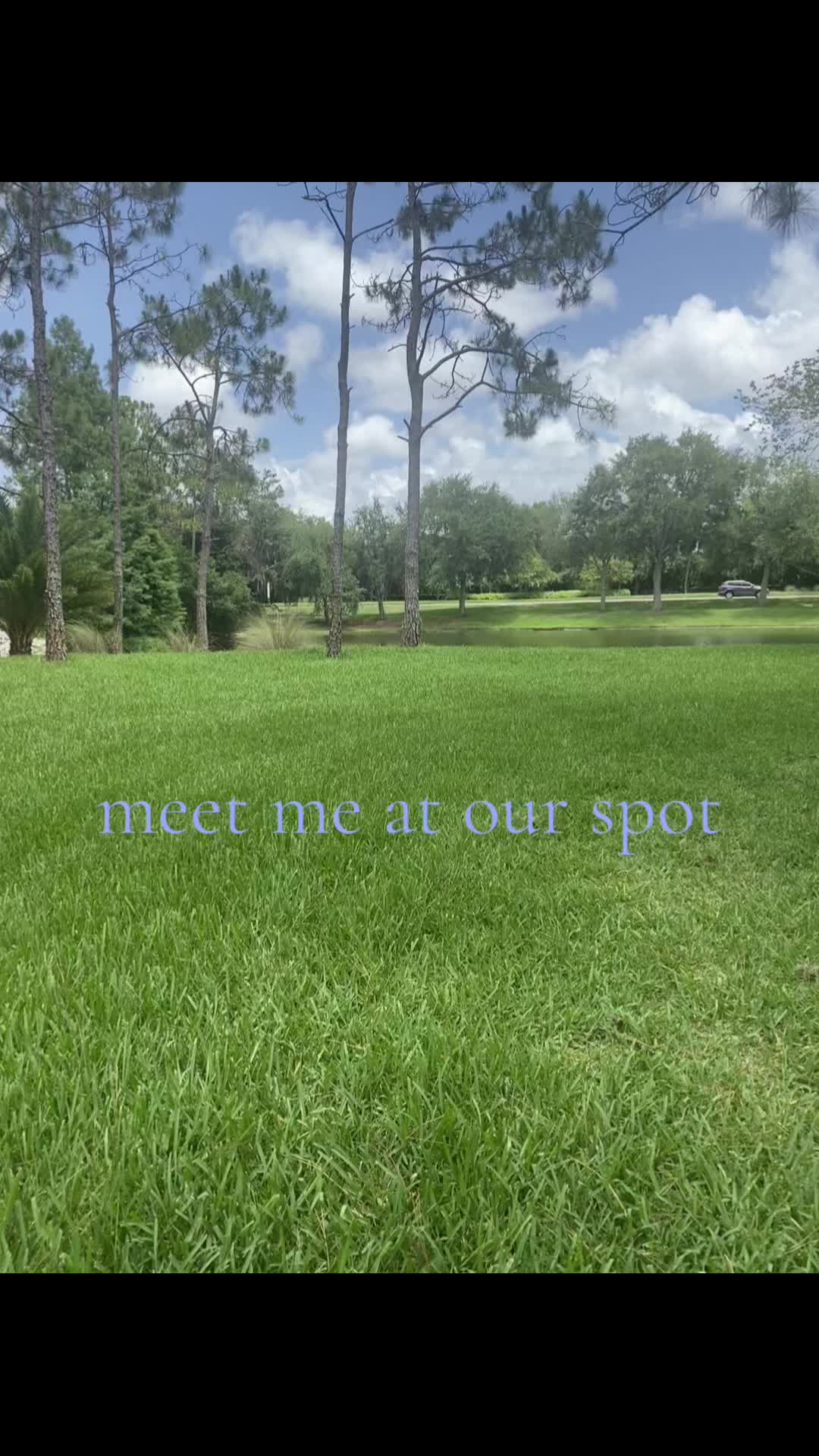 @😸