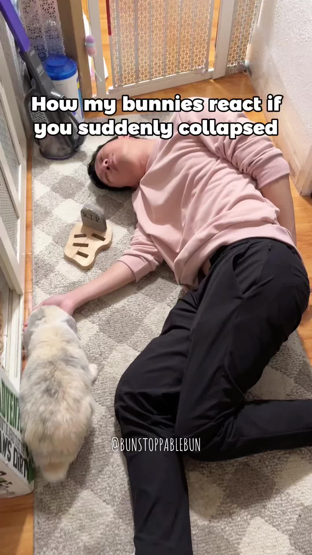 @BunBun, Mochi🌈, Chewy