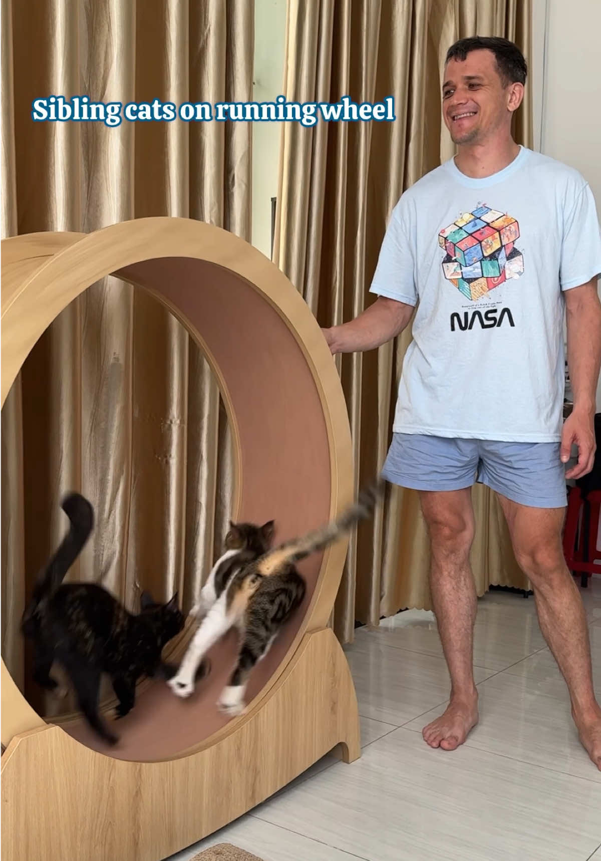 @Three Cats | Behavior & Life