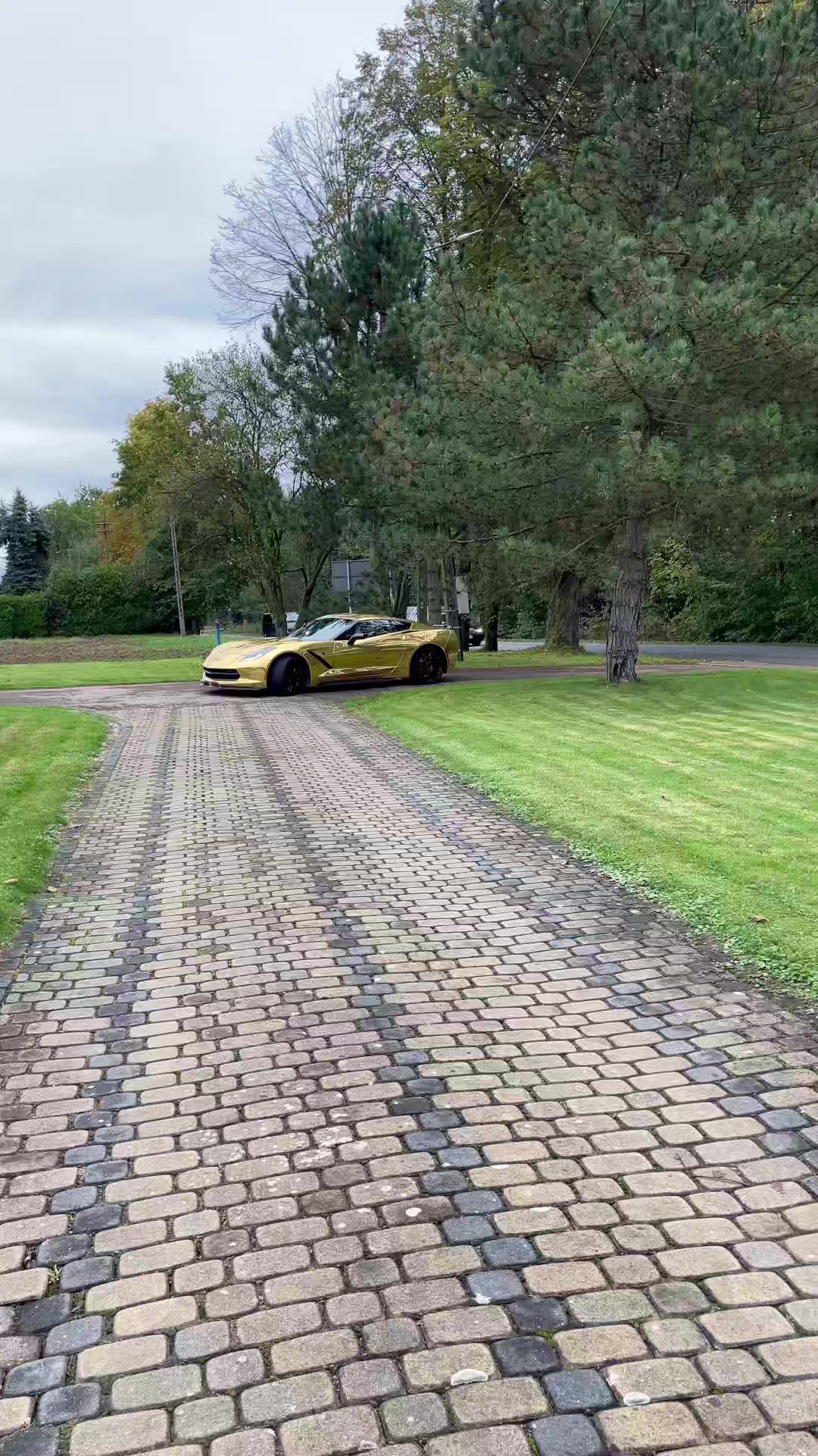 @Golden Cars