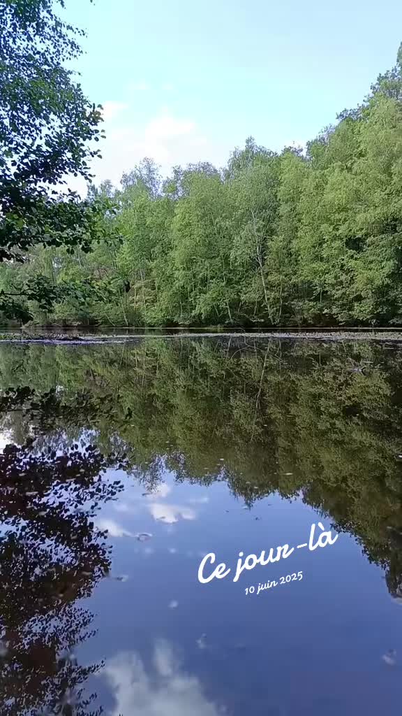 @⋆⃟ۣAleX🗺️ResPect✴️LiFe🏴&zwj;☠️𓂆