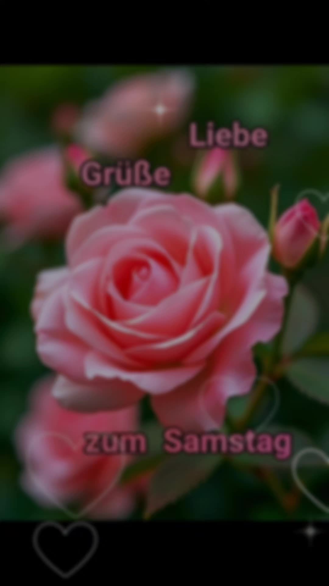 @🦋 Petra 🦋