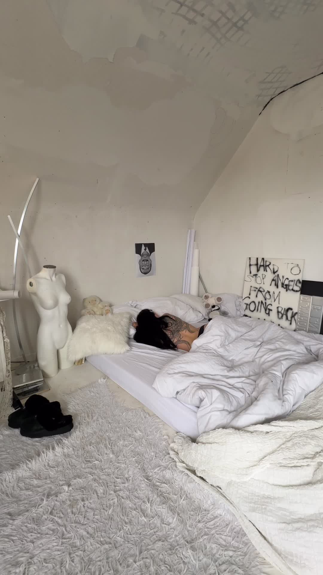 @plxyhousxx