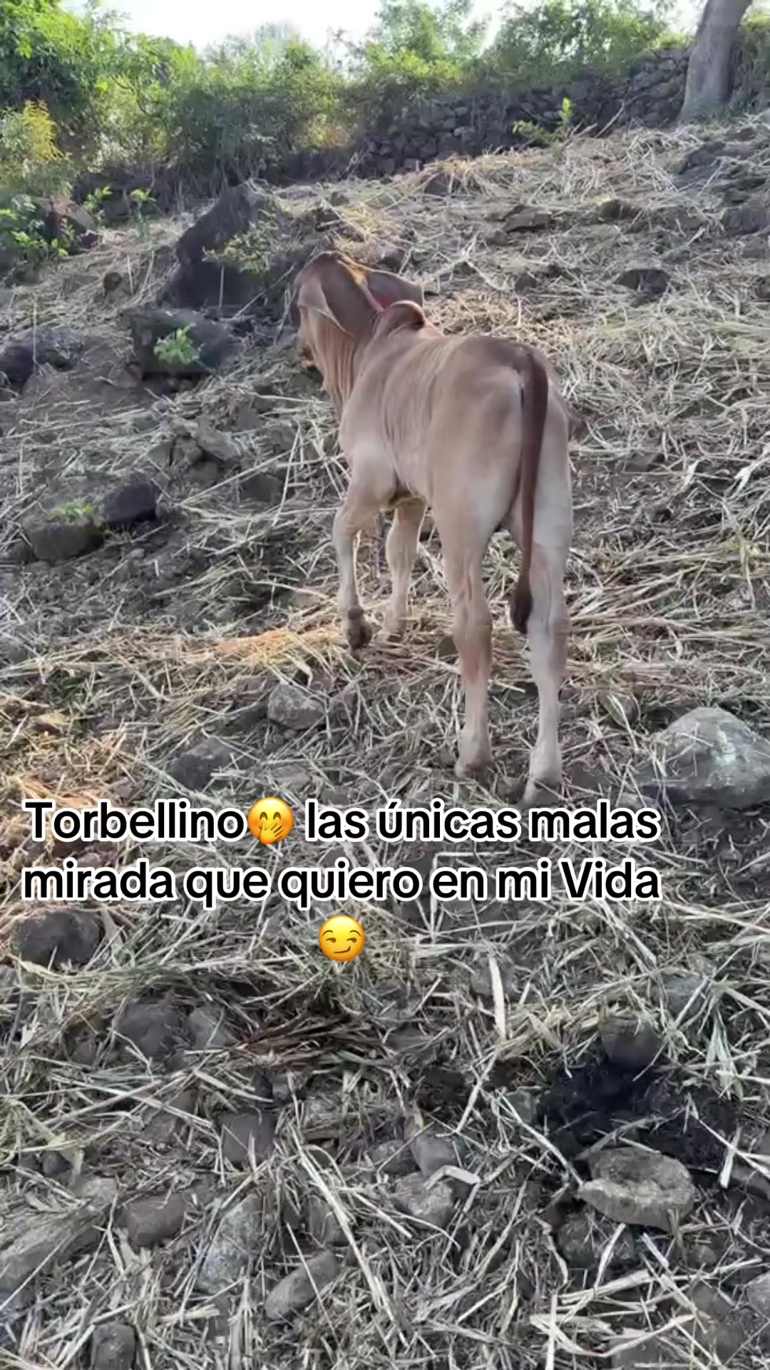 @Ale🫀