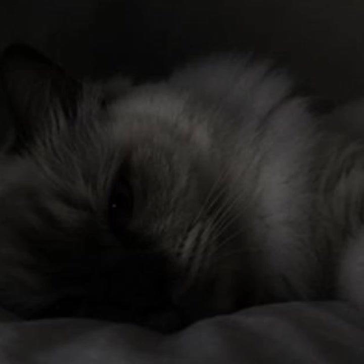 @X_x