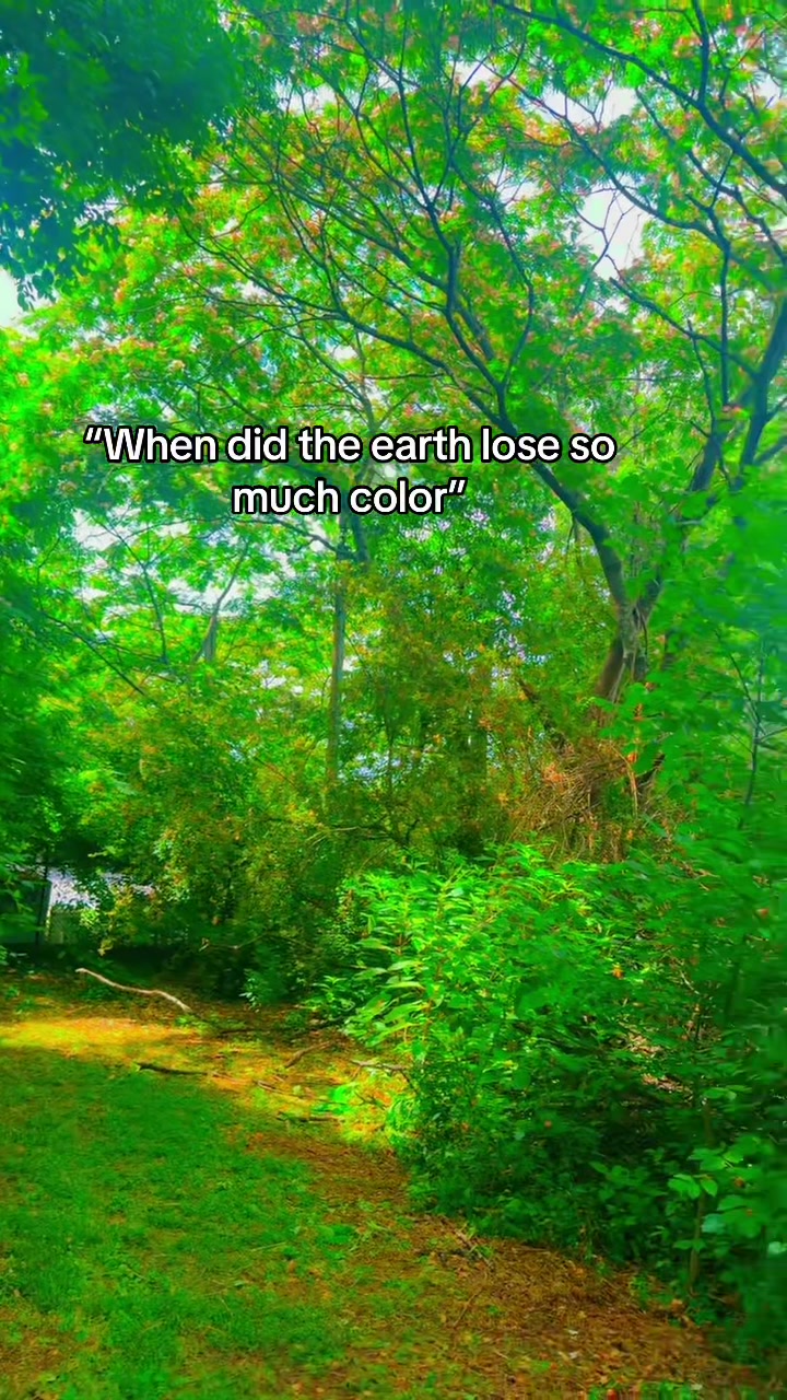 @¿