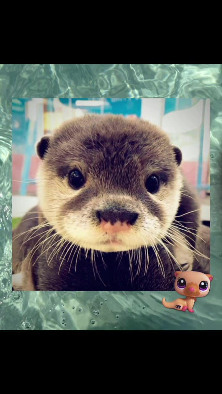 @๐๐๐๐’๐ ๐๐๐๐๐ ๐๐ !