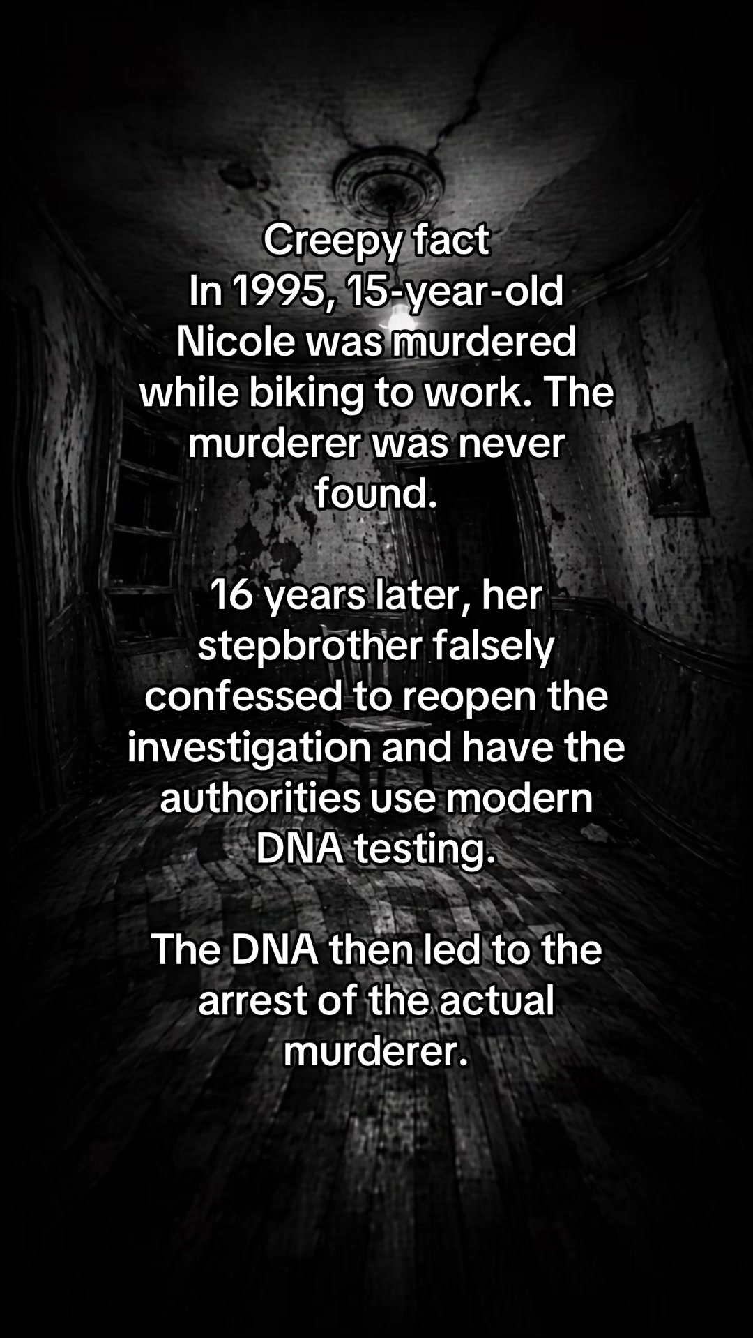 @MaliciousMeerkat