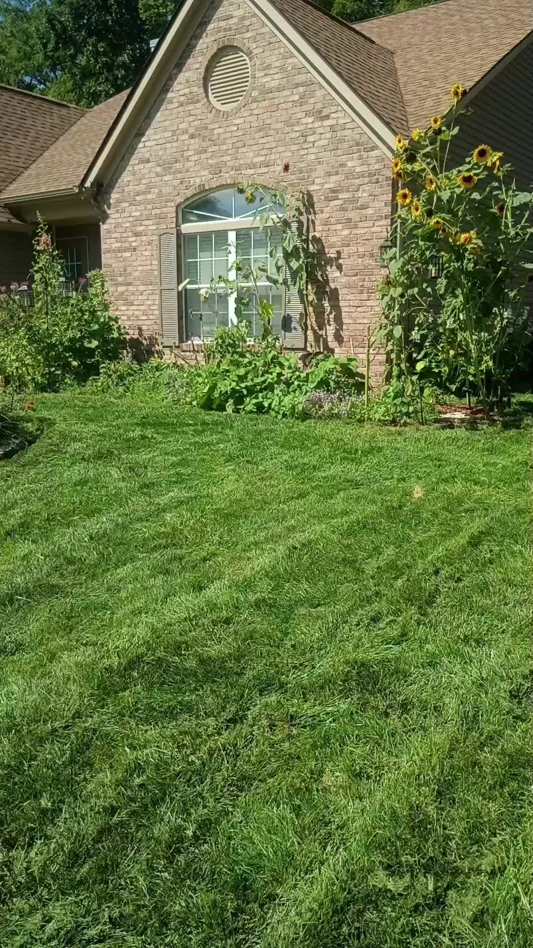 @O.G.