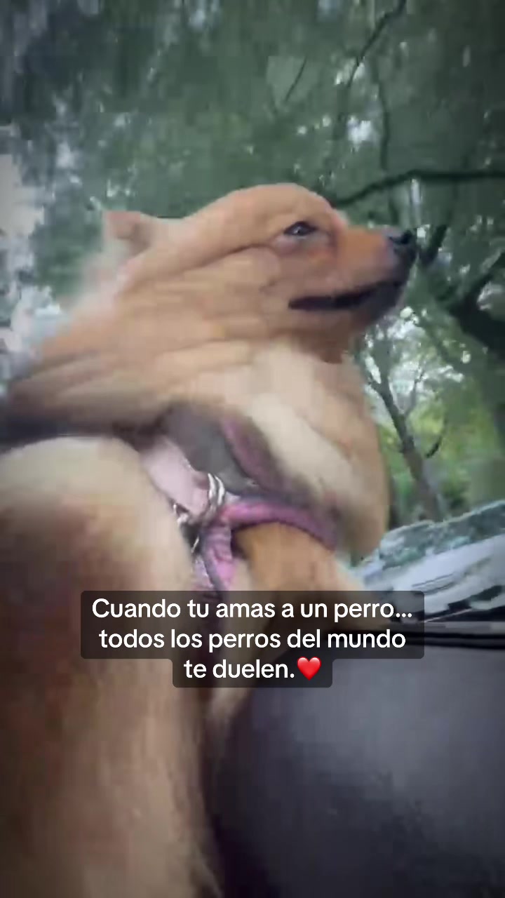 @yinettbaez19