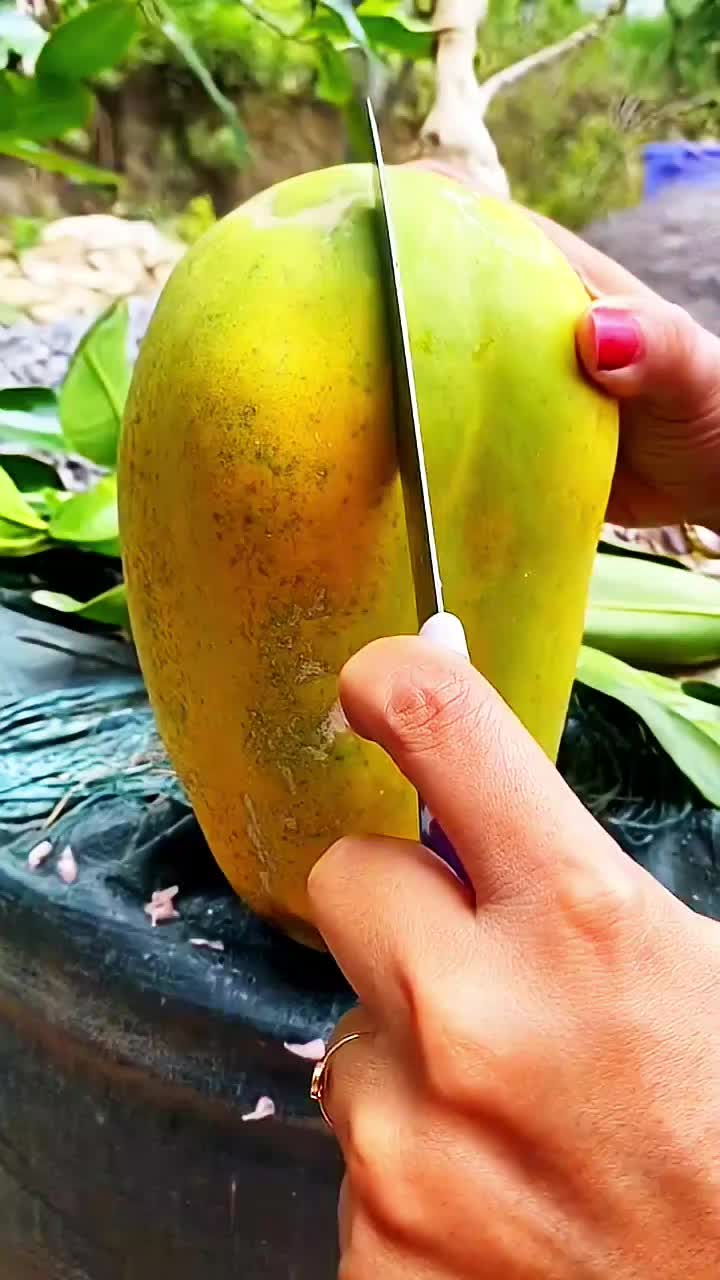 @◉‿◉