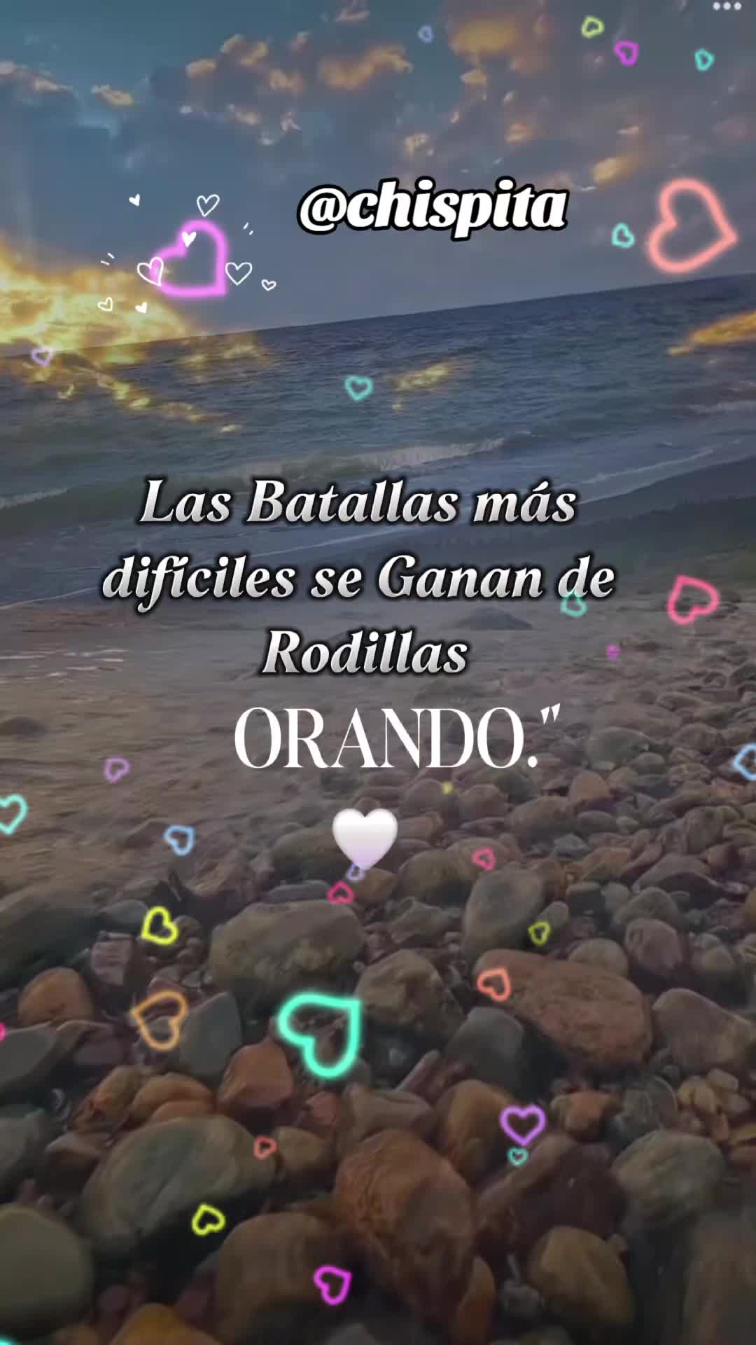 @👤Chispita