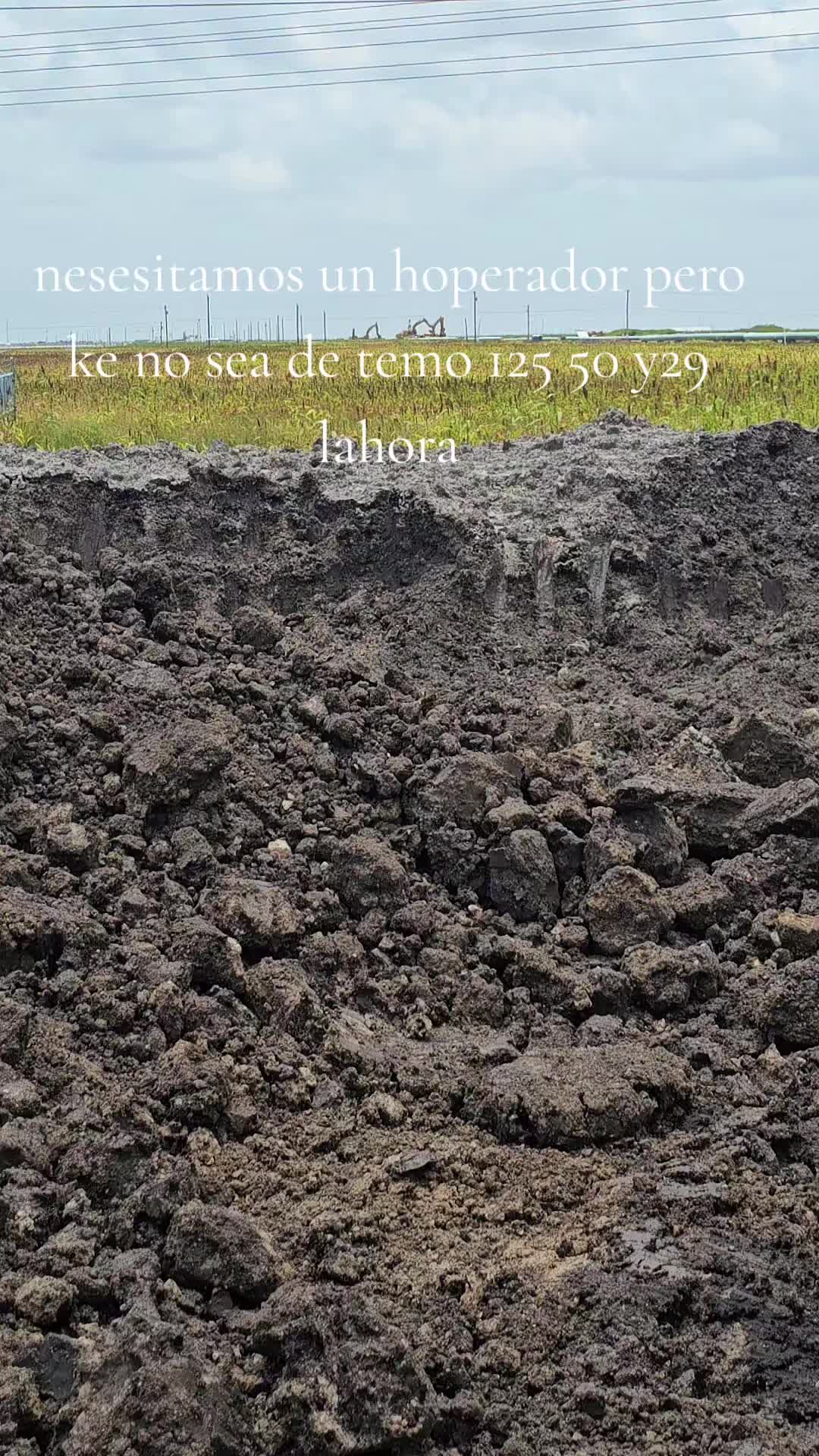 @El minimo del Tiktok