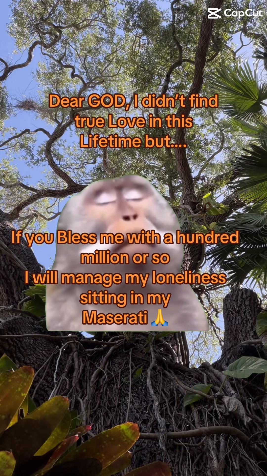 @vee_mele