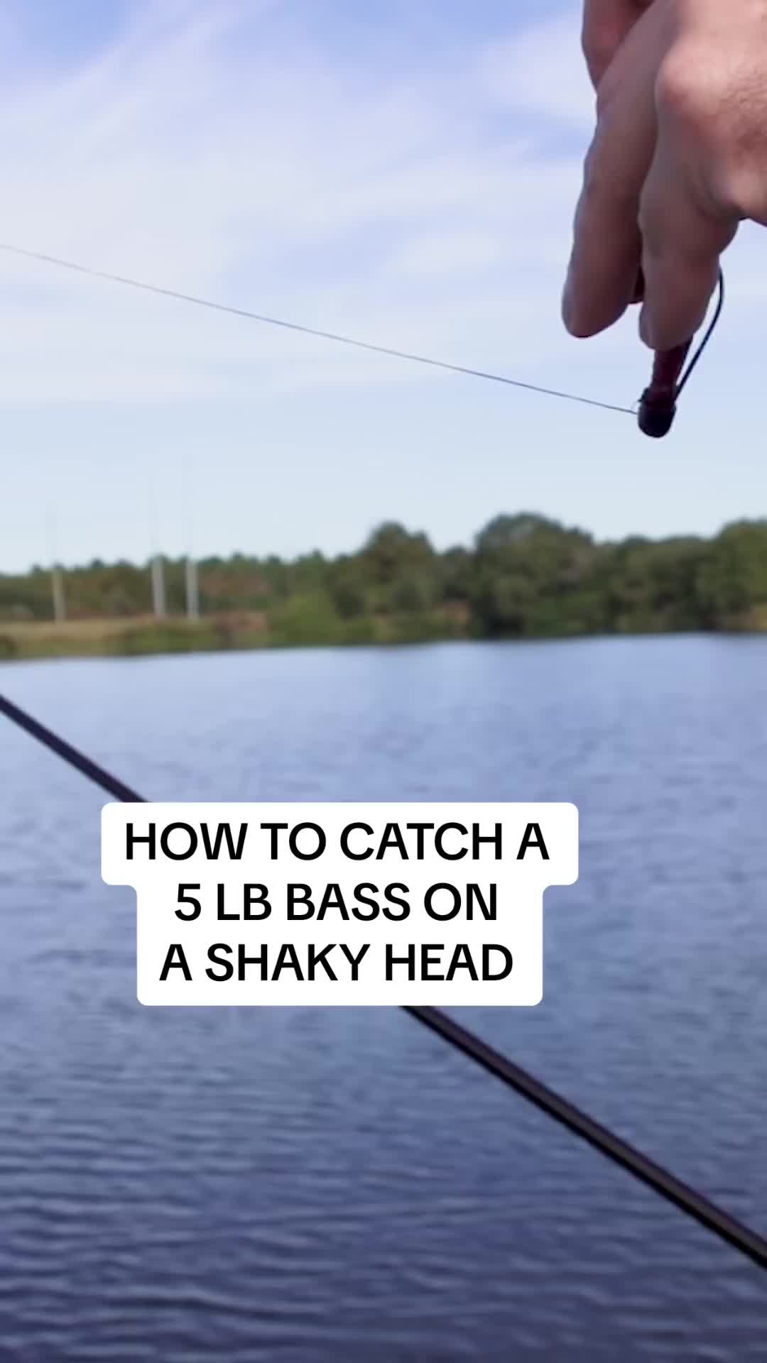 @Lunkerville
