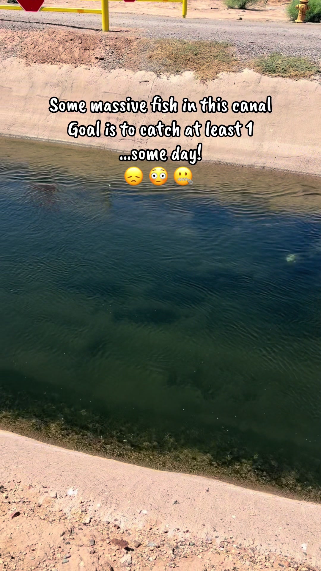 @Luu Nguyen Fishing