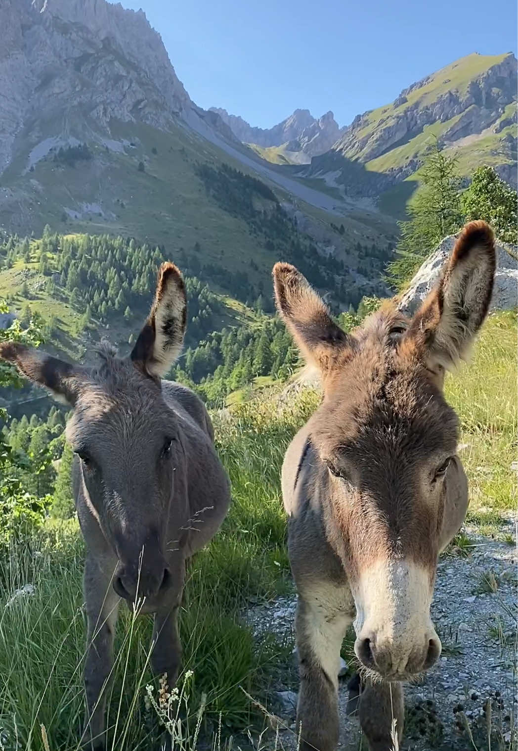 @⚡️Beppe