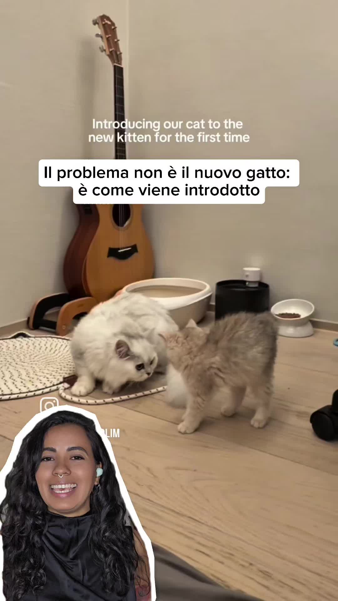 @Dr.ssa Sandra Viana