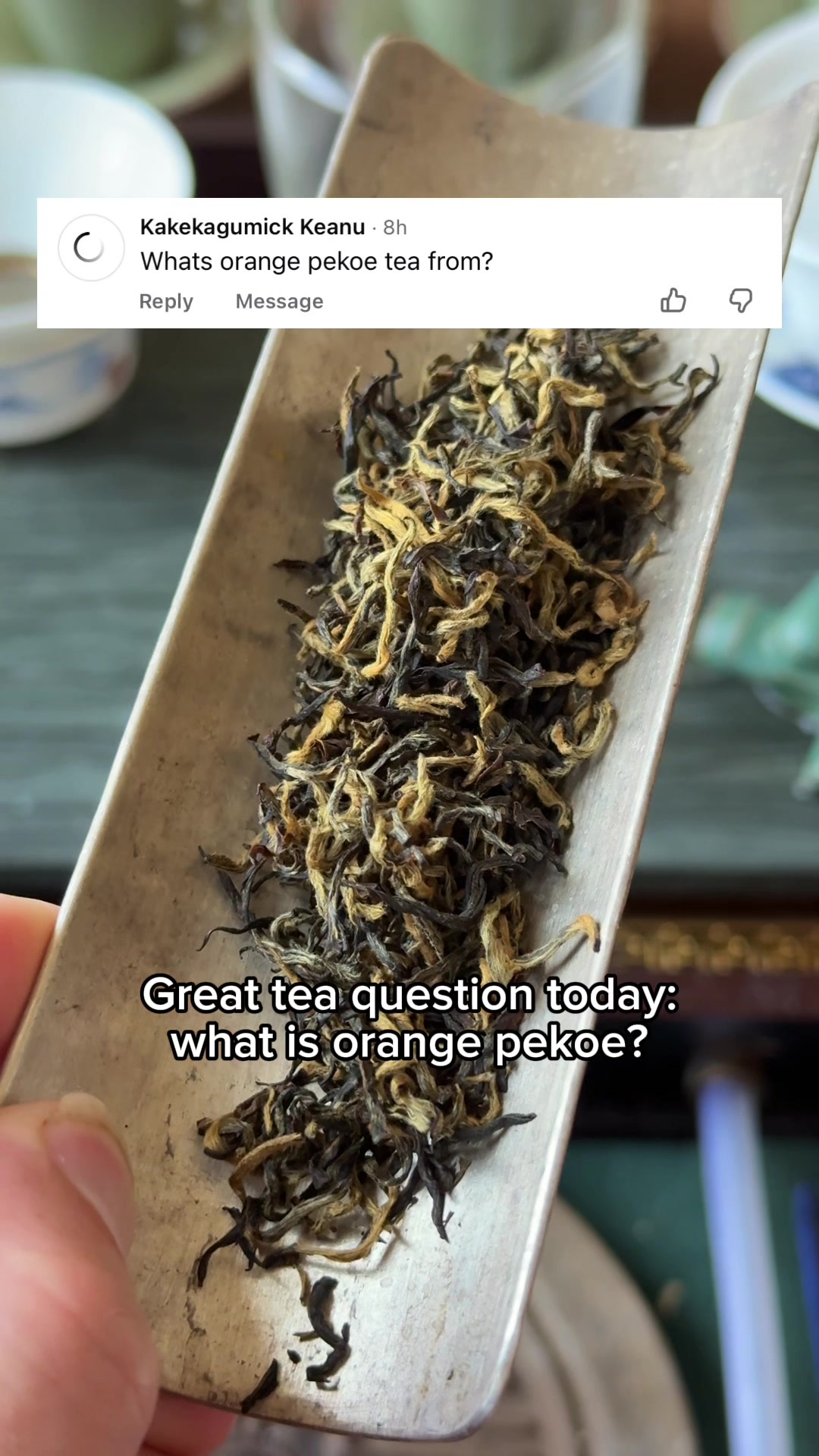 @Jesses Teahouse