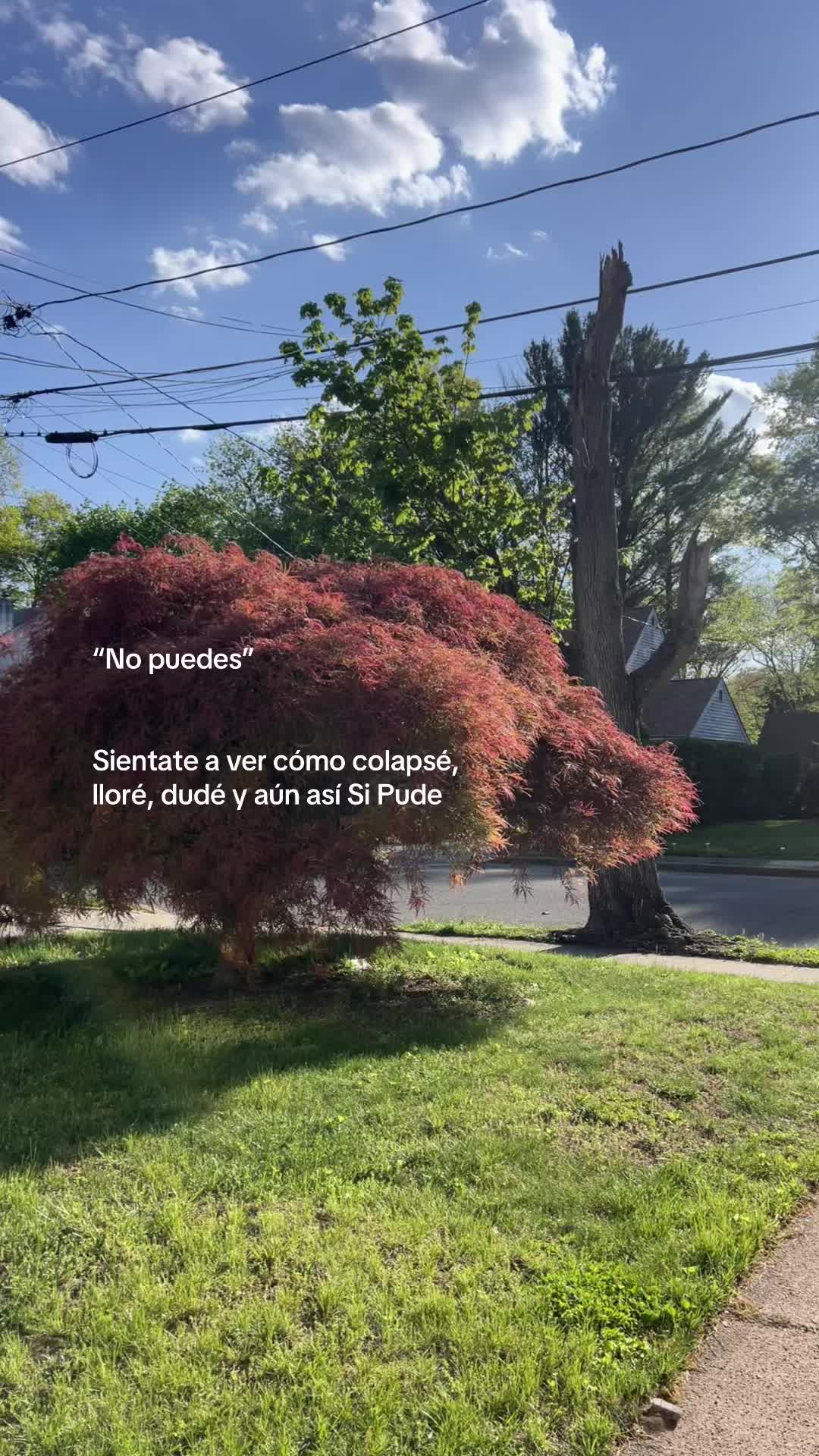 @Yamii ✨