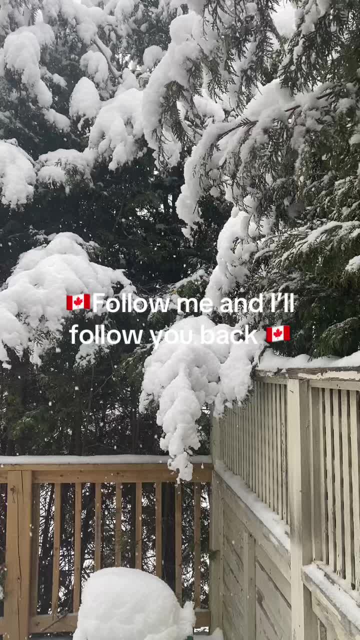 @🇨🇦Carmen❌