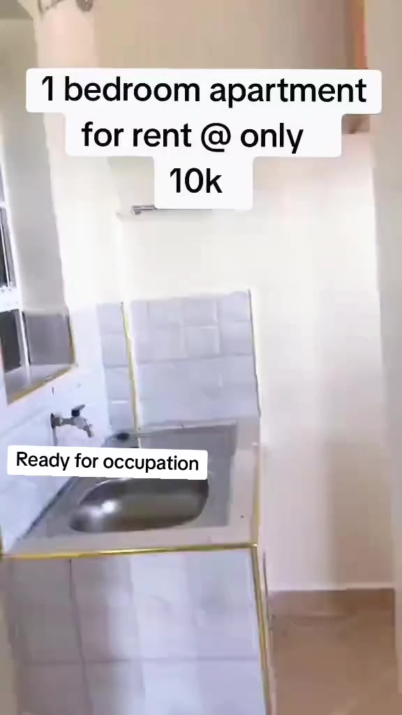 @Palms Realty