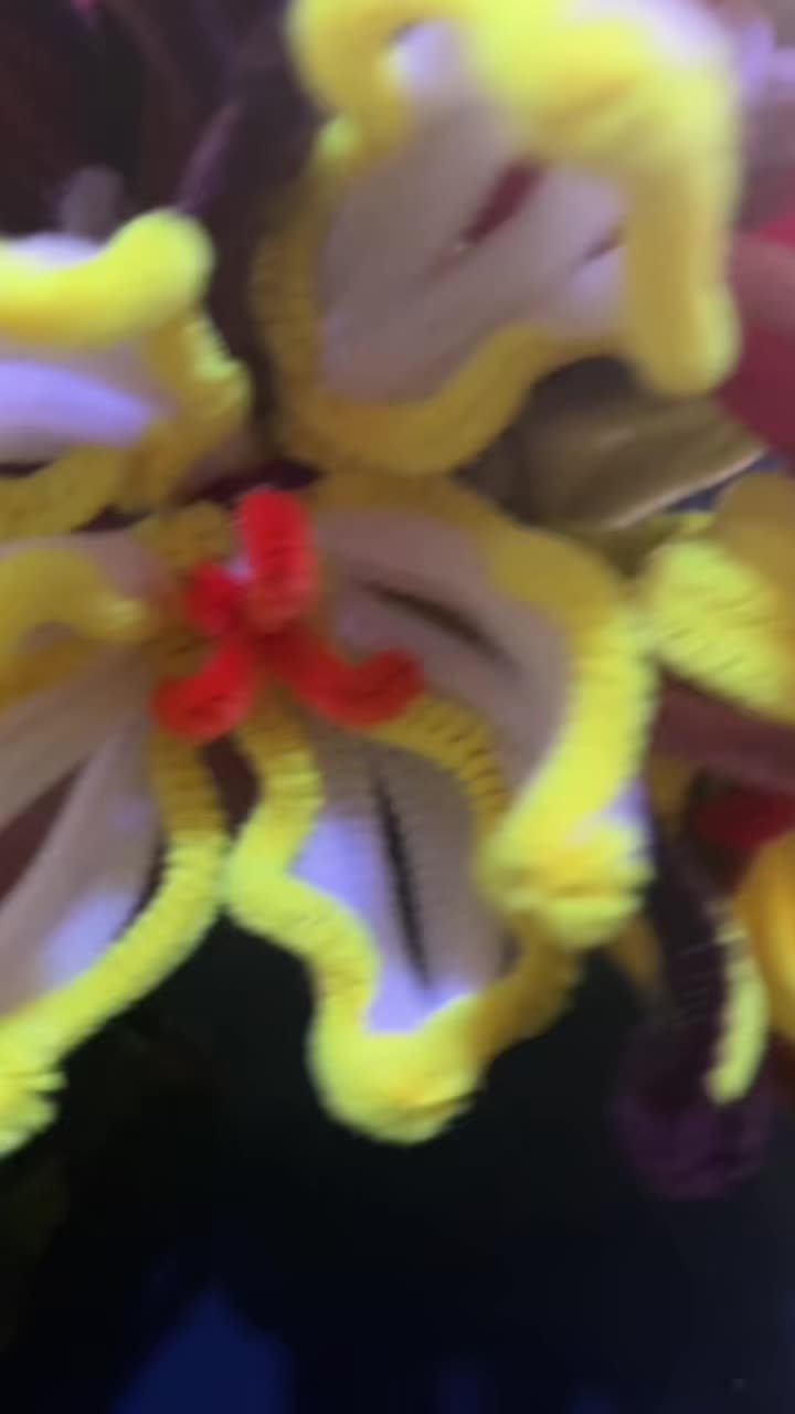 @🌺
