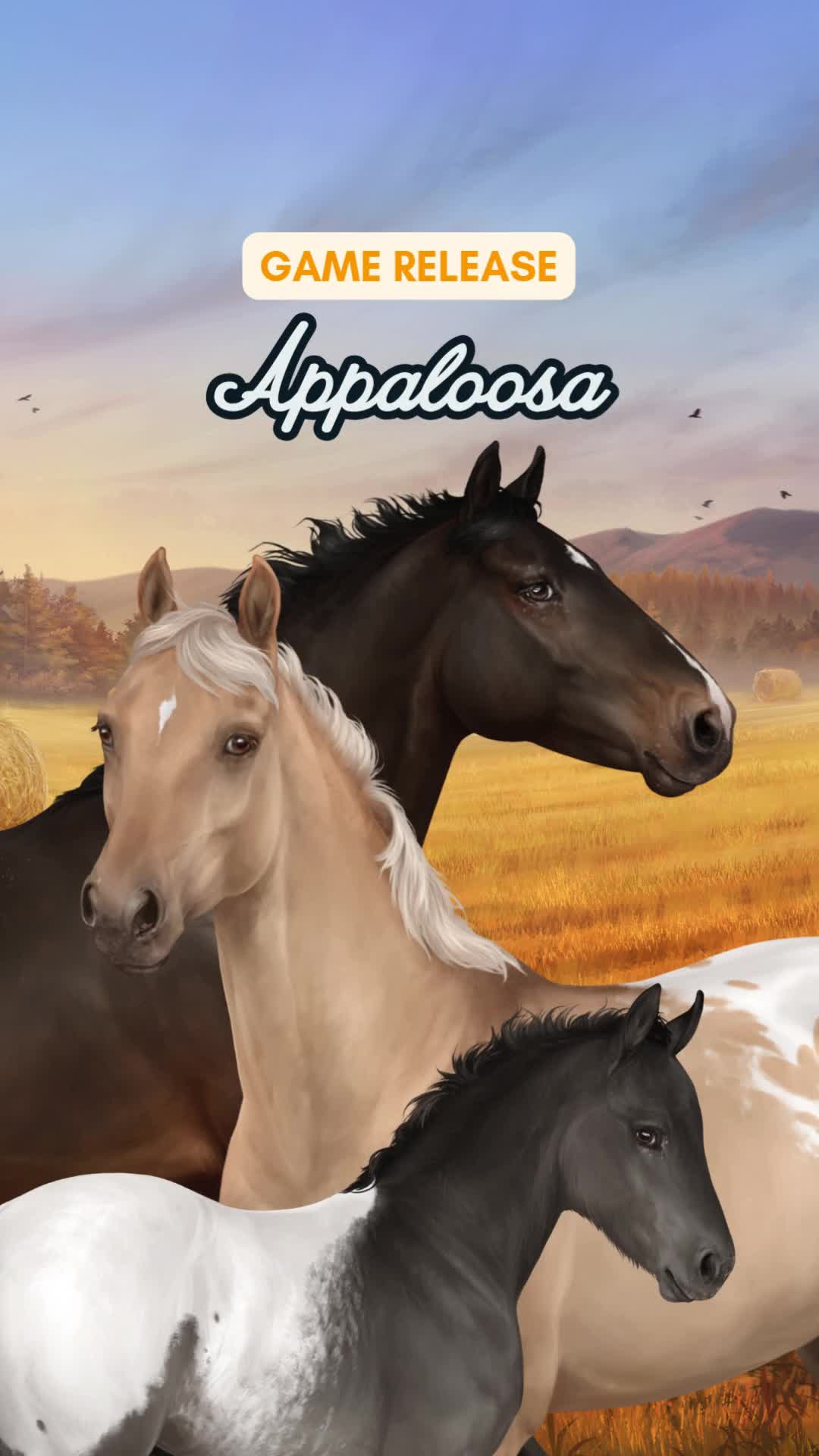 @Horse Reality