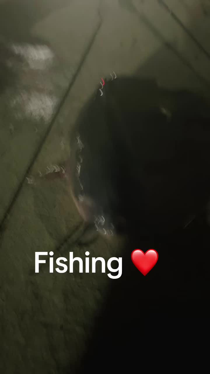 @dirtbike 300