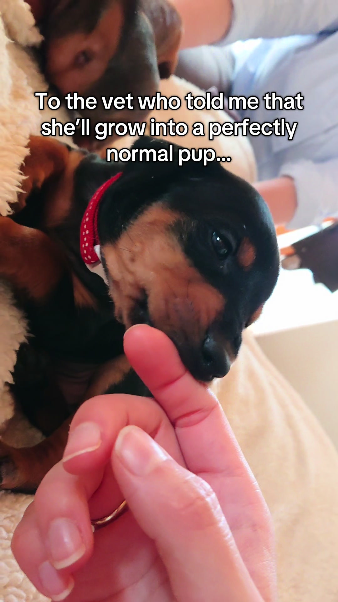 @AlvaTheHotDog