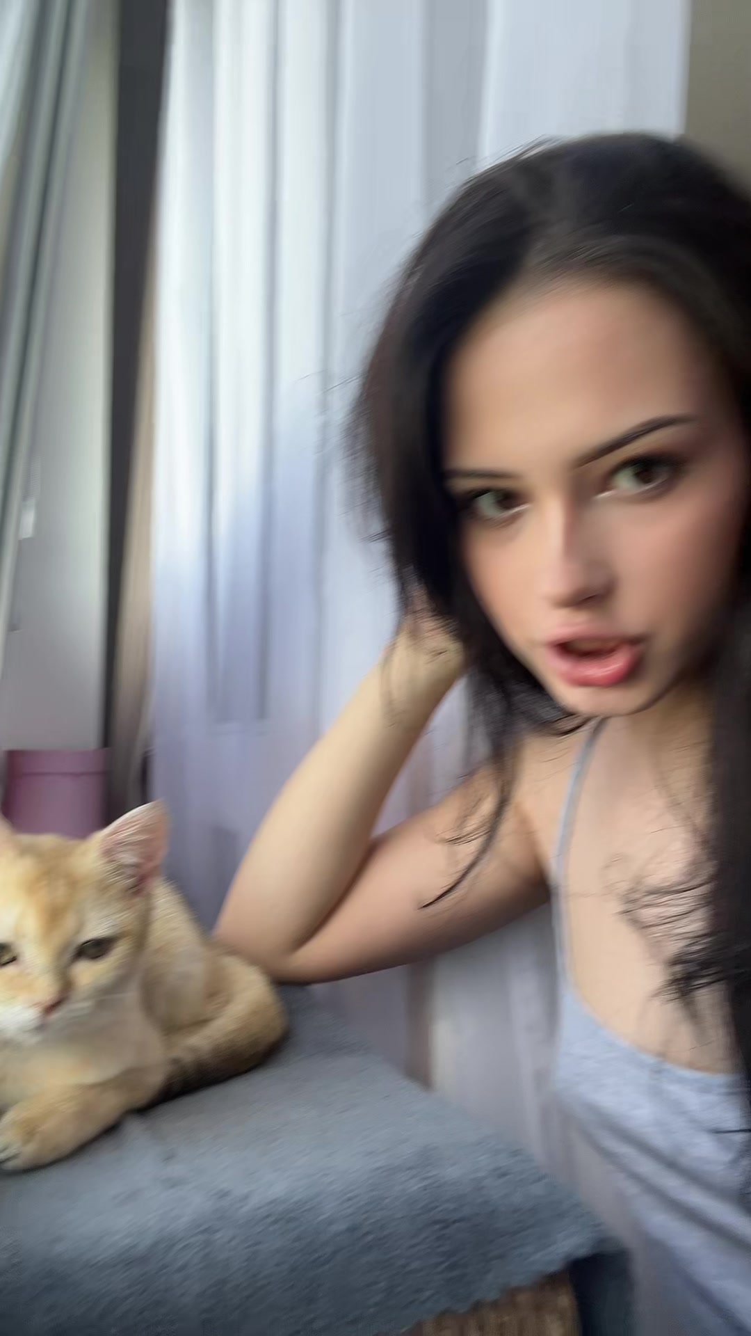 @тгк:крутая кошка