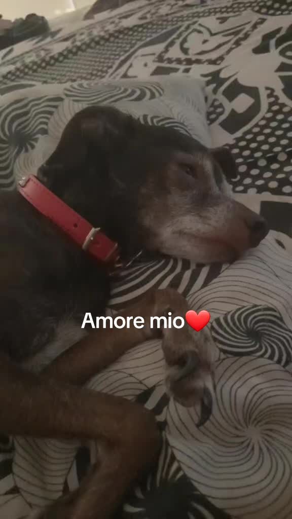 @Ester eliminare il gonfiore