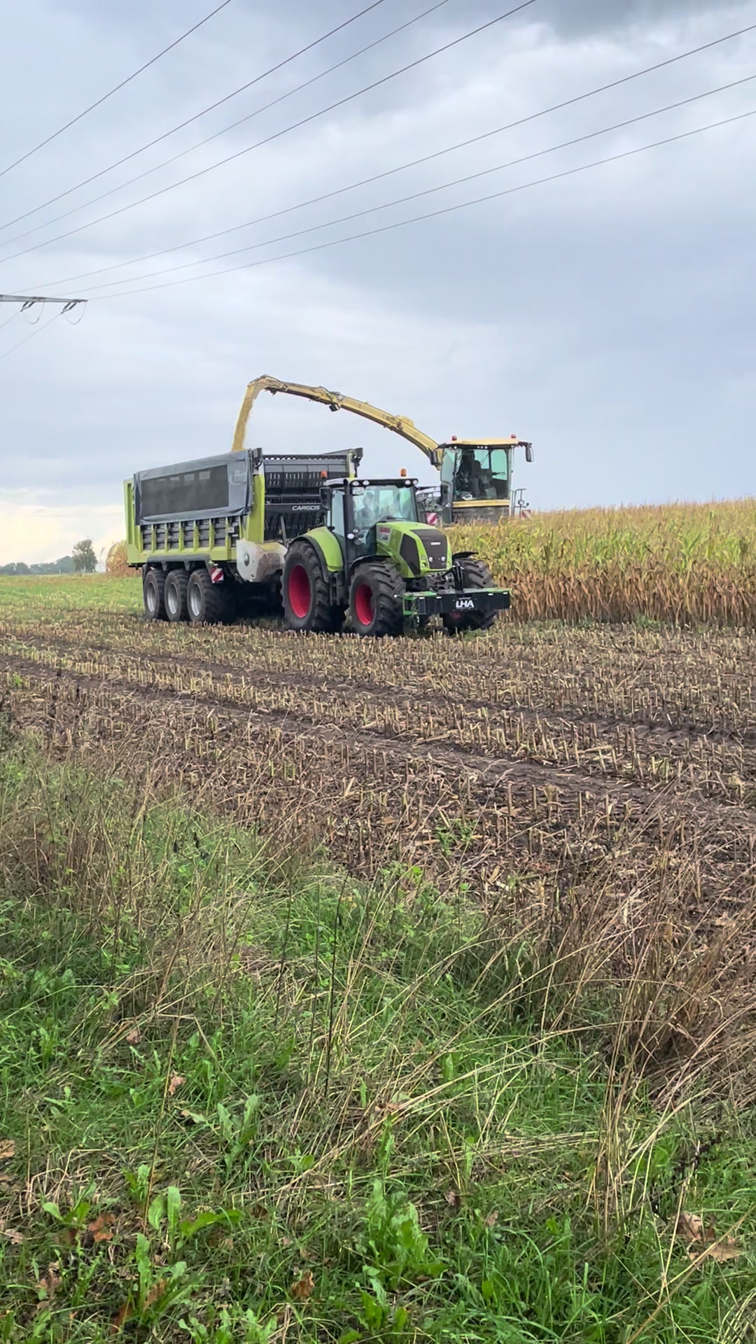 @Claas🇩🇪🇩🇪