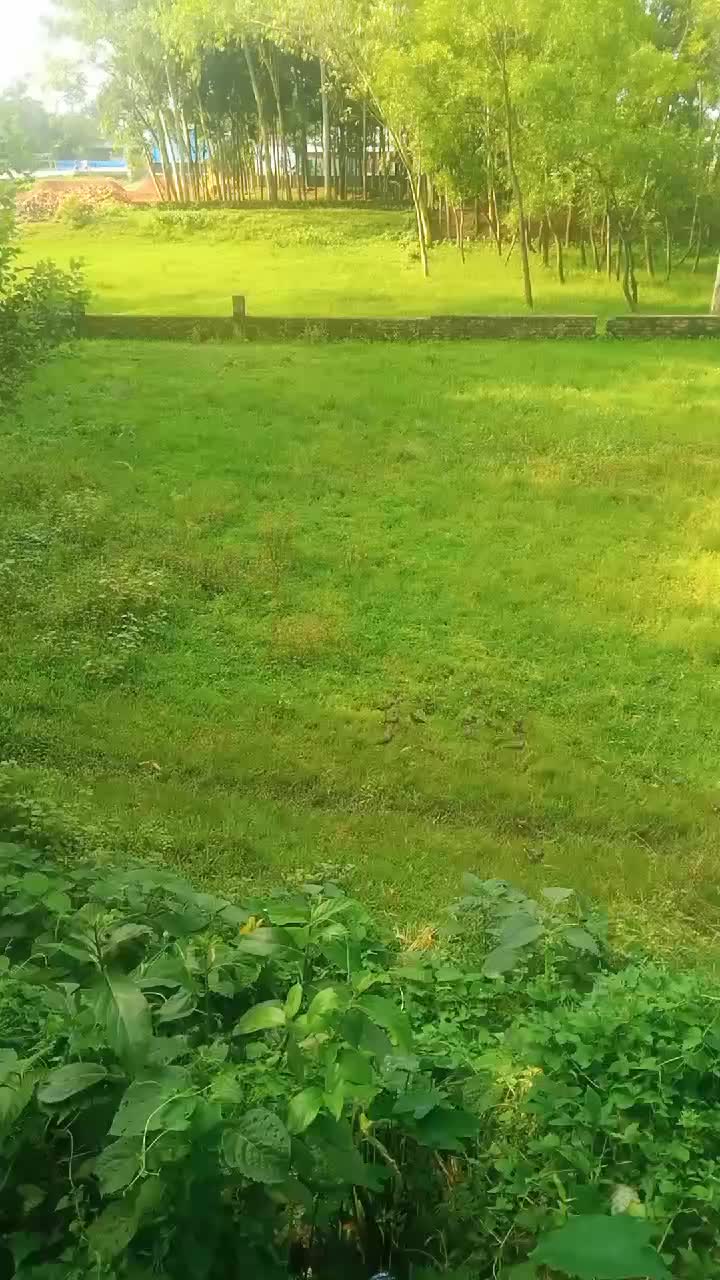 @❤️❤️সীমাহীন ভালোবাসা❤️❤️