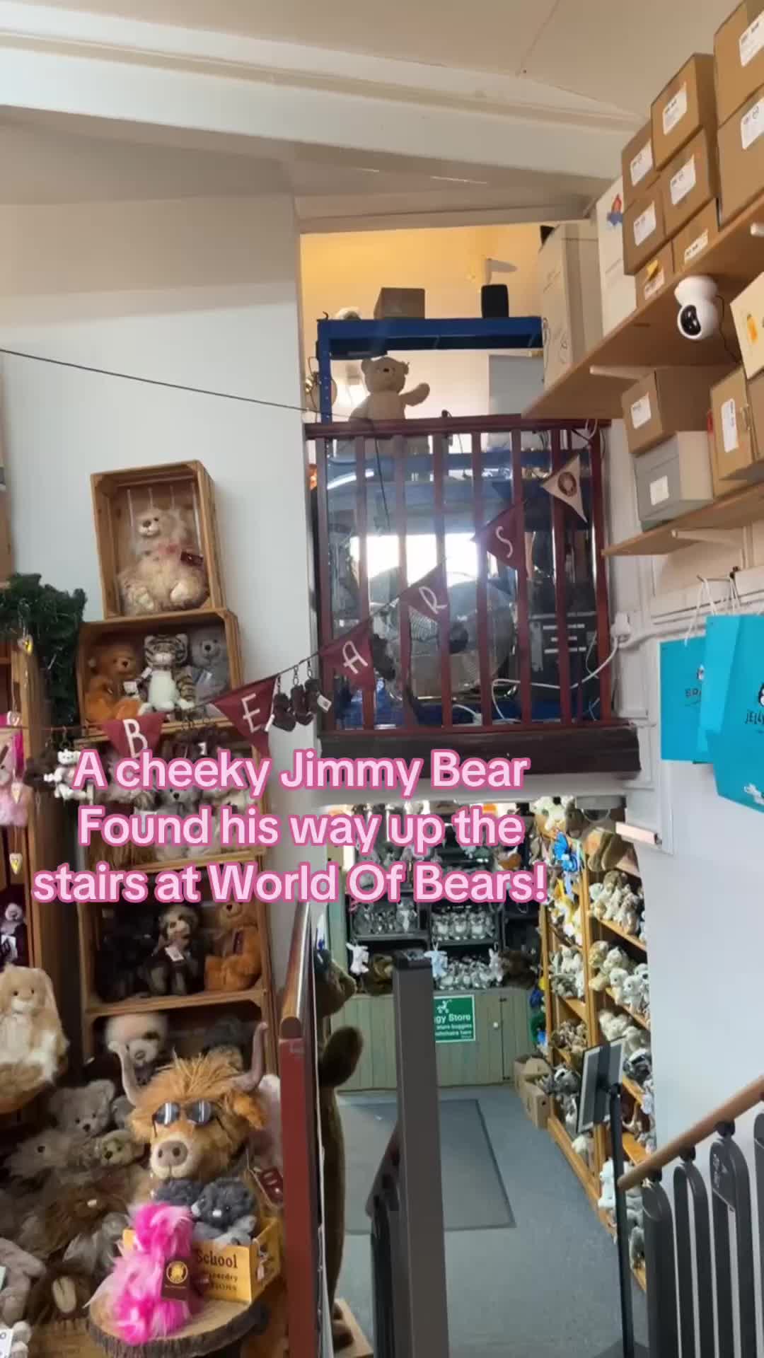 @World of Bears