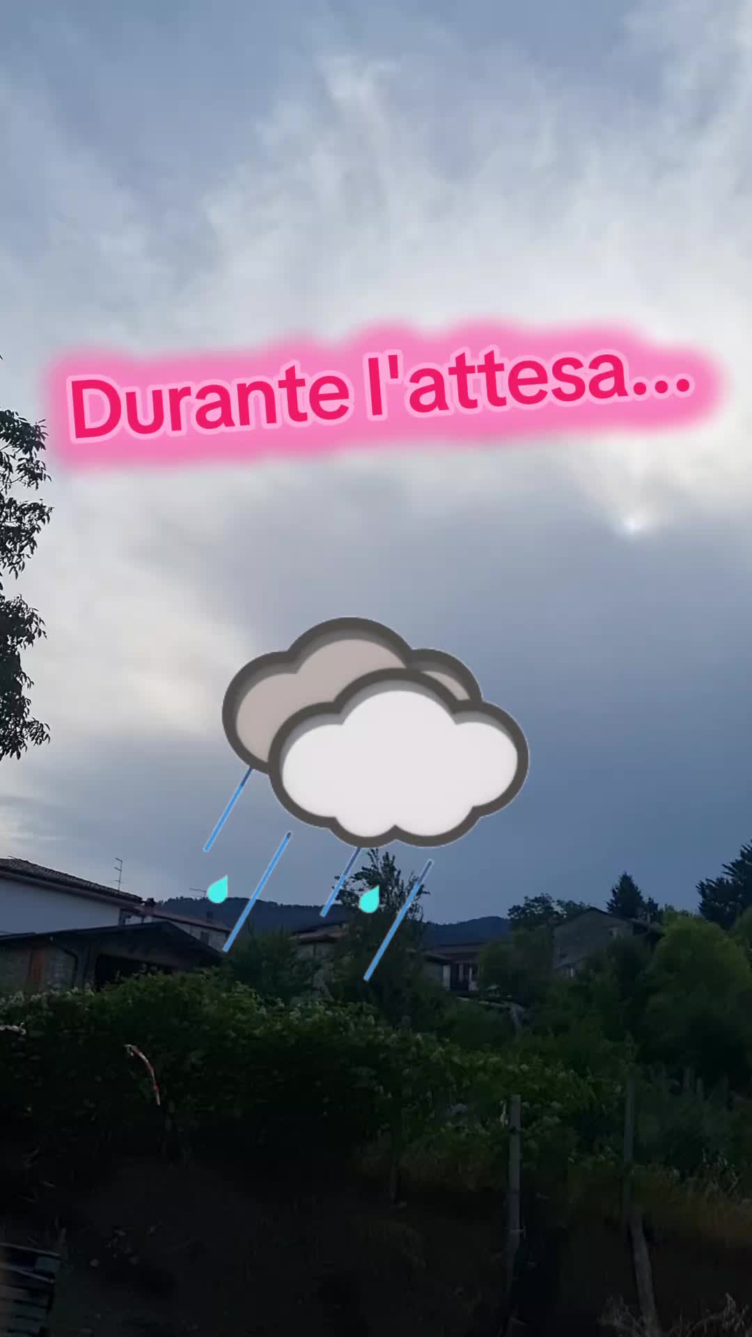 @Il leone e la gallina
