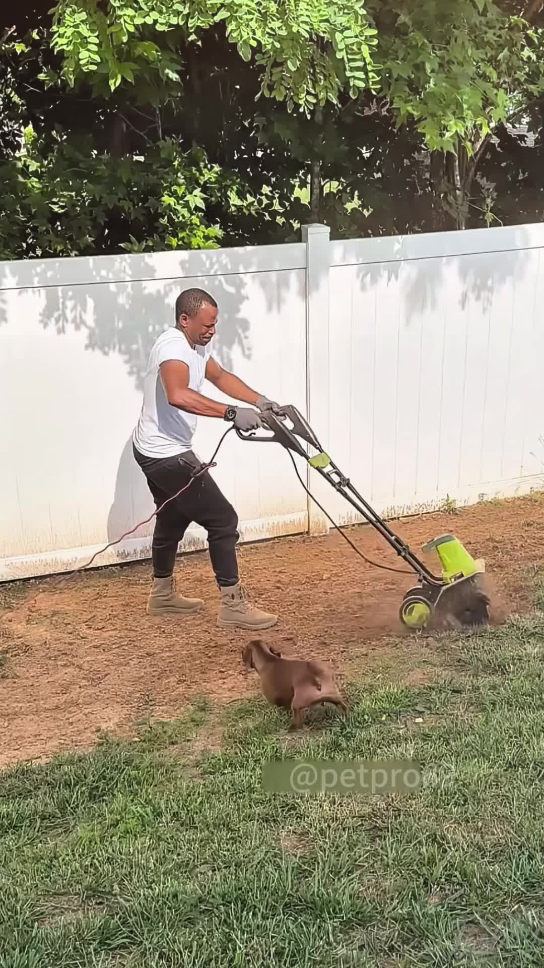 @petpro69