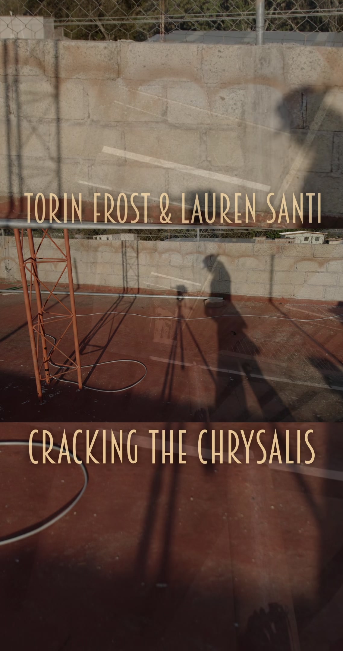 @torinfrost