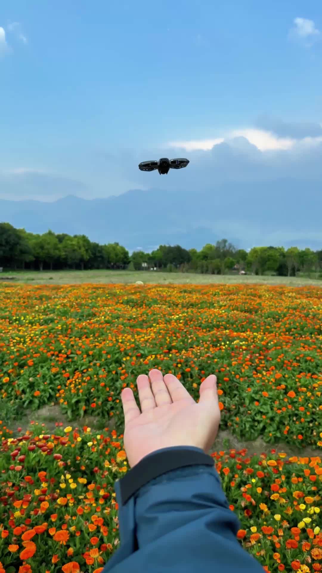 @DJI Official