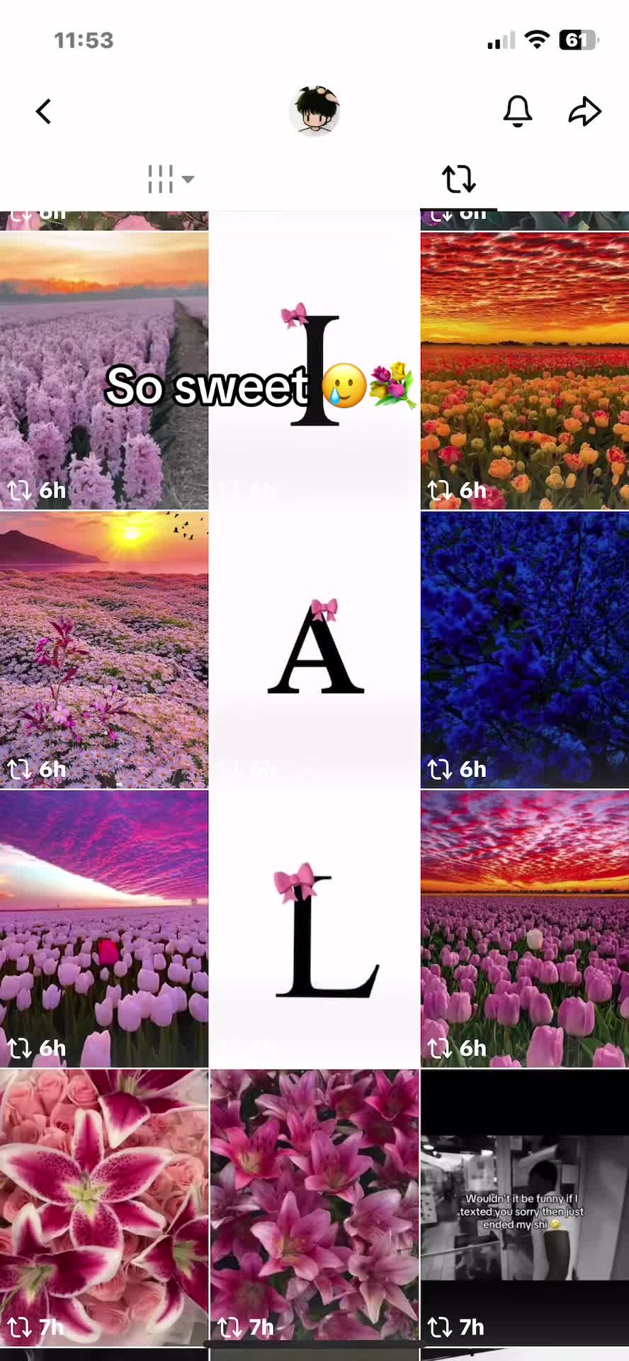 @🪽🕊️Lainey🦢🐇